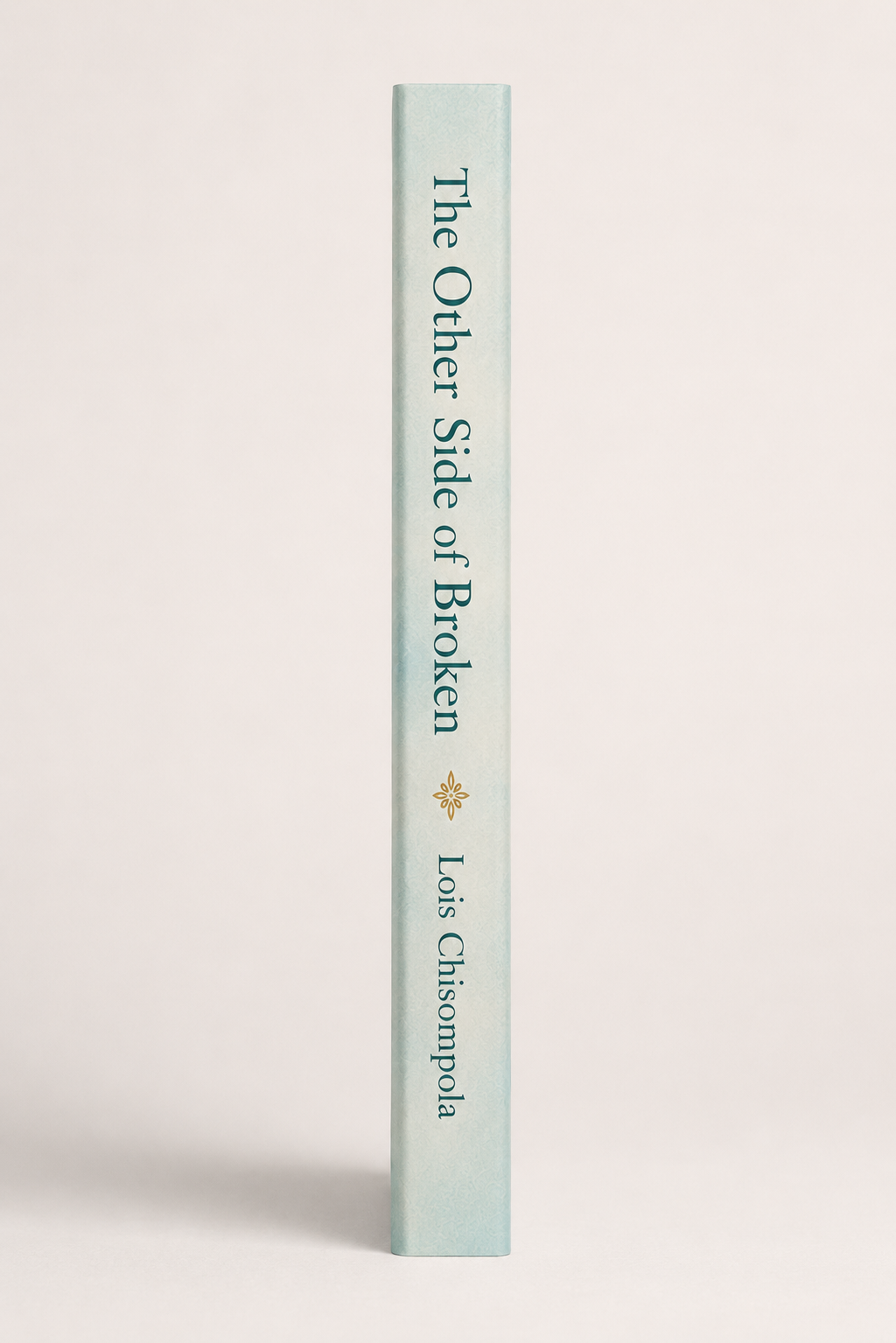 The Other Side of Broken: Navigating Grief from Devastation to Hope ( Hard Copy) - Image 3